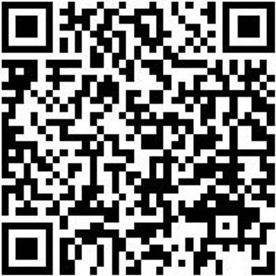 Hammerbohrer Max Bo-Ham-Max-Quadro-S-4Sprl-D38/570/450