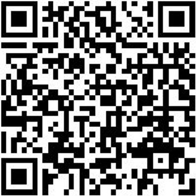 Hammerbohrer Max Bo-Ham-Max-Quadro-S-4Sprl-D40/370/250