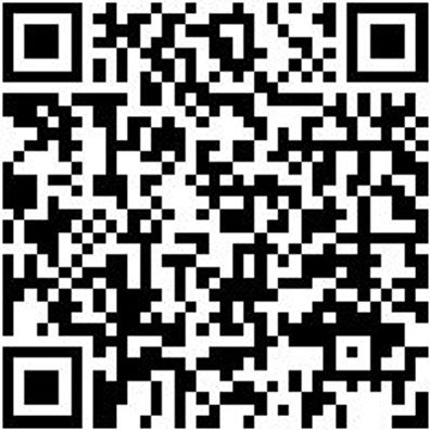 Hammerbohrer Max Bo-Ham-Max-Quadro-S-4Sprl-D40/570/450