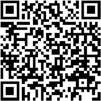 Hammerbohrer Max Bo-Ham-Max-Quadro-S-4Sprl-D45/570/450