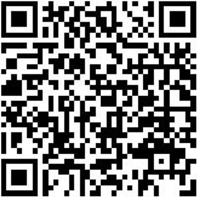 Hammerbohrer Max Bo-Ham-Max-Quadro-S-4Sprl-D52/570/450