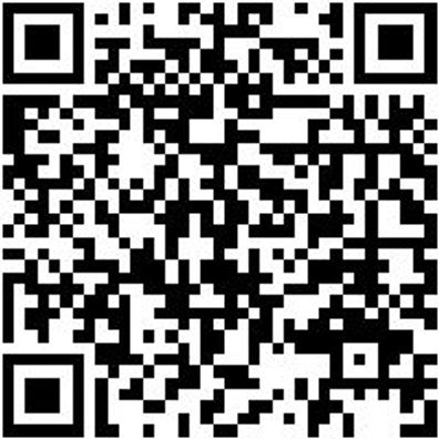 Hammerbohrer Max Bo-Ham-Max-Q-Lv-D25-L720-Al600Mm