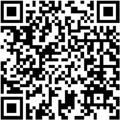 Hammerbohrer Plus Bo-Ham-Plus-Quadro-S-4Sprl-16/250/200