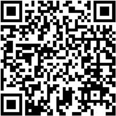 Hammerbohrer Plus Bo-Ham-Plus-Quadro-S-4Sprl-16/450/400