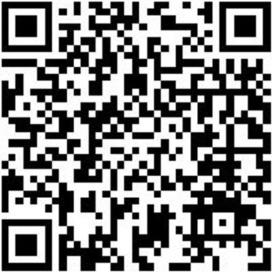 Hammerbohrer Plus Bo-Ham-Plus-Quadro-S-4Sprl-22/450/400