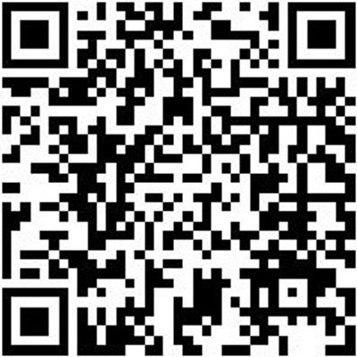 Hammerbohrer Plus Bo-Ham-Plus-Quadro-S-4Sprl-24/250/200