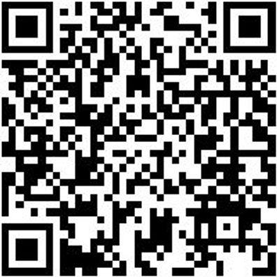 Hammerbohrer Plus Bo-Ham-Plus-Quadro-S-4Sprl-24/450/400