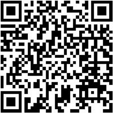 Hammerbohrer Plus Bo-Ham-Plus-Quadro-S-4Sprl-25/450/400