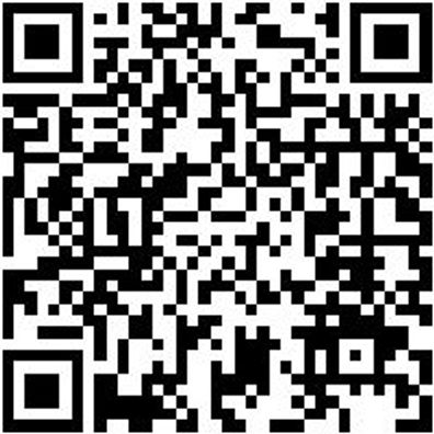 Hammerbohrer Plus Bo-Ham-Plus-Quadro-S-4Sprl-26/450/400