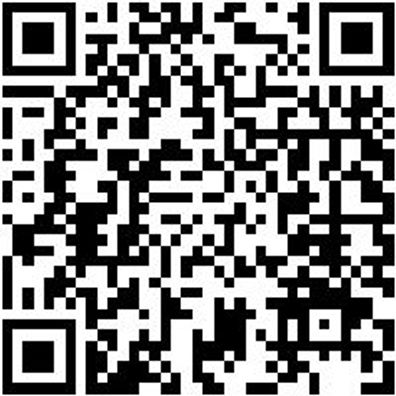 Hammerbohrer Plus Bo-Ham-Plus-Quadro-S-4Sprl-28/250/200