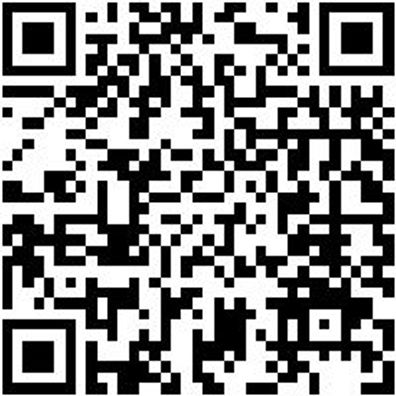 Hammerbohrer Plus Bo-Ham-Plus-Quadro-S-4Sprl-28/450/400