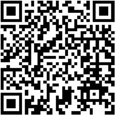 Hammerbohrer Plus Bo-Ham-Plus-Quadro-S-4Sprl-30/250/200