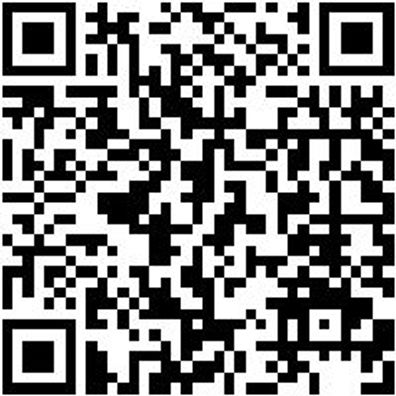 Hammerbohrer Plus Bo-Ham-Plus-Duo-Sv-D8,0-L600-Al540Mm