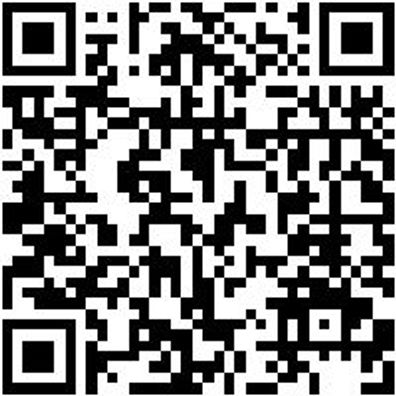 Hammerbohrer Plus Bo-Ham-Plus-Duo-Sv-D14,0-L600-Al550Mm