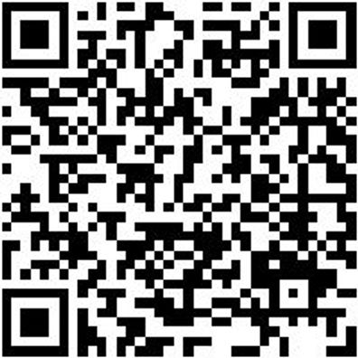 Handreiniger Hndreinig-(N-Special)-250Ml