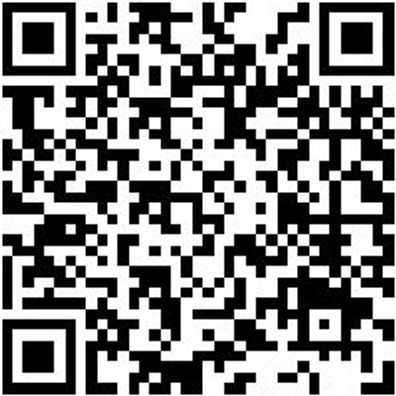 Hebelwerkzeug Kaross.-Kst-Teile Sort/Set Mntgkeil-Set-Kst-4Tlg