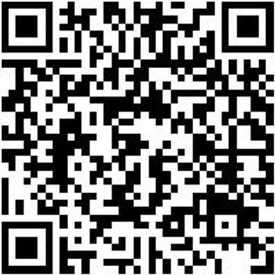 Hebelwerkzeug Kaross.-Kst-Teile Sort/Set Mntgkeil-Set-Kst-12Tlg