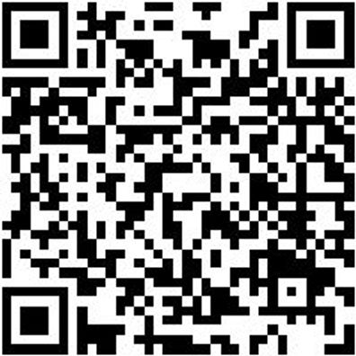 Hebelwerkzeug Kaross.-Kst-Teile Sort/Set Mntgkeil-Set-Ersatz-(E-M)-4Tlg