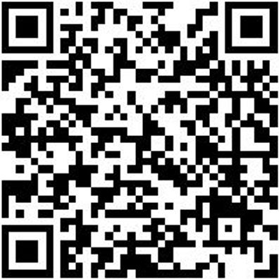 Hebelwerkzeug Kaross.-Kst-Teile Sort/Set Mntgkeil-Set-Ersatz-L/N/O/P-4Tlg