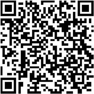 Injektor Werkzeug Gleithammer, Uni Mit Schlaggewicht 9 Kg