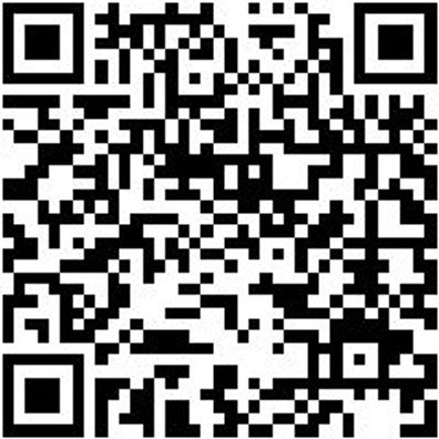 Injektor Werkzeug Injektor Stecknuss, Bosch Sw 29Mm