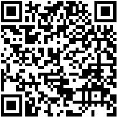 Injektor Werkzeug Spezialbuerste Messing D18Mm