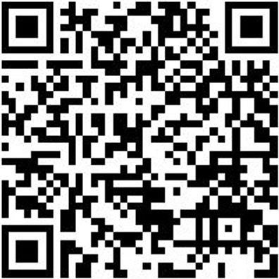 Injektor Werkzeug Spezialbuerste Messing D19Mm