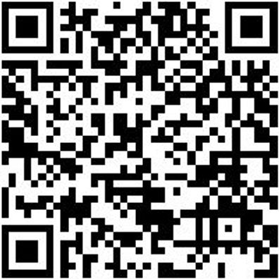 Injektor Werkzeug Spezialbuerste Messing D21Mm