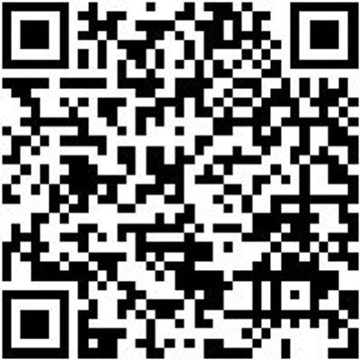 Injektor Werkzeug Spezialbuerste Messing D24Mm