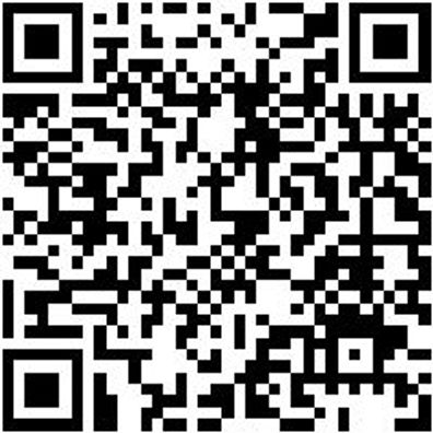 Injektor Werkzeug Gleithammerfuehrungs-Stange