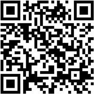 Injektor Werkzeug Gleithammer