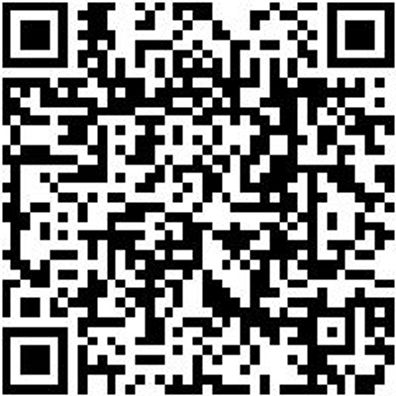 Injektor Werkzeug Auszieher F. Injektorschacht-Dichtung