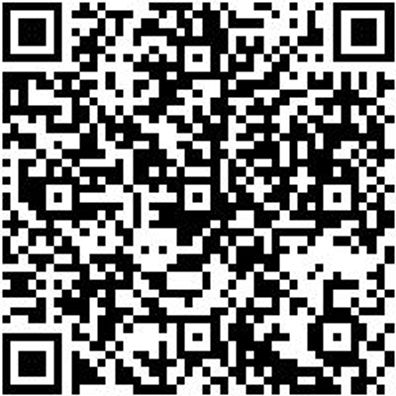 Injektor Werkzeug Sortiment/Set Set Gleithammer Injektoren, Uni 7-Tlg