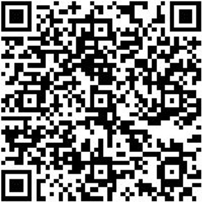 Injektor Werkzeug Sortiment/Set Set Injektoren- Auszieher Mercedes