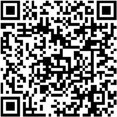 Injektor Werkzeug Sortiment/Set Set Gleithammer Denso Injektoren