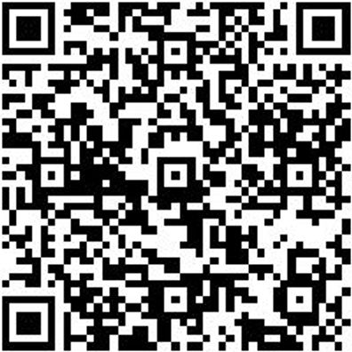 Injektor Werkzeug Sortiment/Set Set Injektoren-Demontage, Basis Univers