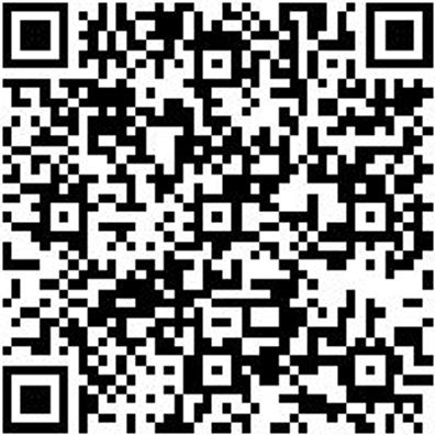 Injektor Werkzeug Sortiment/Set Injektor-Reinigungs U. Fräswerkzeug Satz