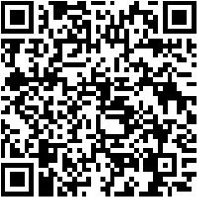 Injektor Werkzeug Sortiment/Set Injektwzg-Set-Demontage