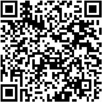 Injektor Werkzeug Sortiment/Set Injektoren - Gleithammer Satz