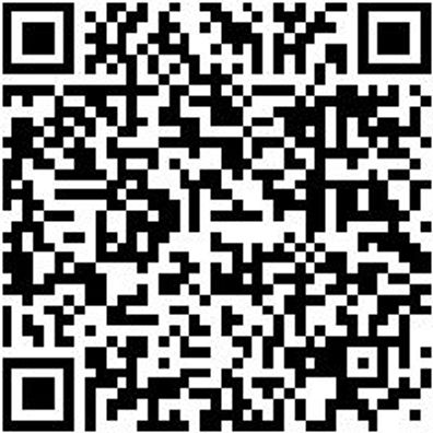 Injektor Werkzeug Sortiment/Set Injektwzg-Auszi-Set-Ford-Eco-Blue-4Tlg