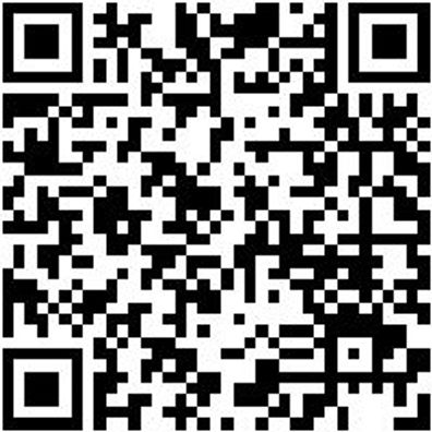 Klebegewichtentferner Klebgewentf-B22Mm-L270Mm