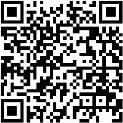 Kraft-Schraubendreher-Einsatz 1/2Zo Kft-Shrdrh-Einsatz Tx 30 55Mm