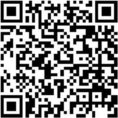 Kraft-Schraubendreher-Einsatz 1/2Zo Kft-Shrdrh-Einsatz Tx 30 100Mm