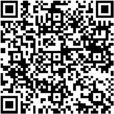 Kraft-Schraubendreher-Einsatz 3/4Zo Kft-Shrdrh-Einsatz Tx 100 L80