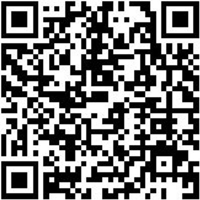 Kupplungswerkzeug Sortiment/Set Dsg-Kupplungswerkzeug-Satz