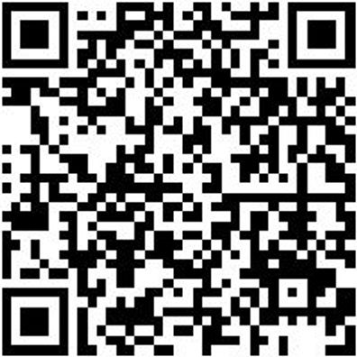 Lagerwerkzeug Sortiment/Set Fahrwrkwzg-Sa-Nr6-36Tlg