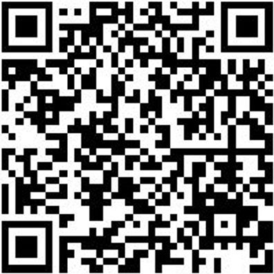 Lagerwerkzeug Sortiment/Set Fahrwrkwzg-Sa-Nr3-46Tlg