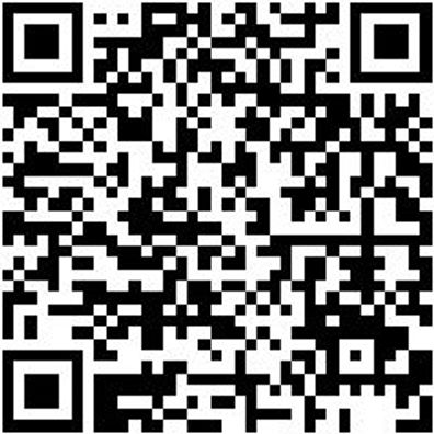 Lagerwerkzeug Sortiment/Set Fahrwrkwzg-Sa-Nr5-49Tlg