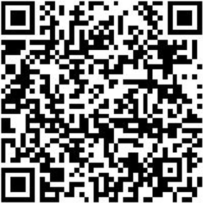 Grundplatte Lochplattensystem Grndpl-Ral9011-Graphitschwarz-228X495Mm