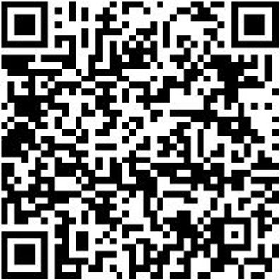 Grundplatte Lochplattensystem Grndpl-Ral9011-Graphitschwarz-457X991Mm